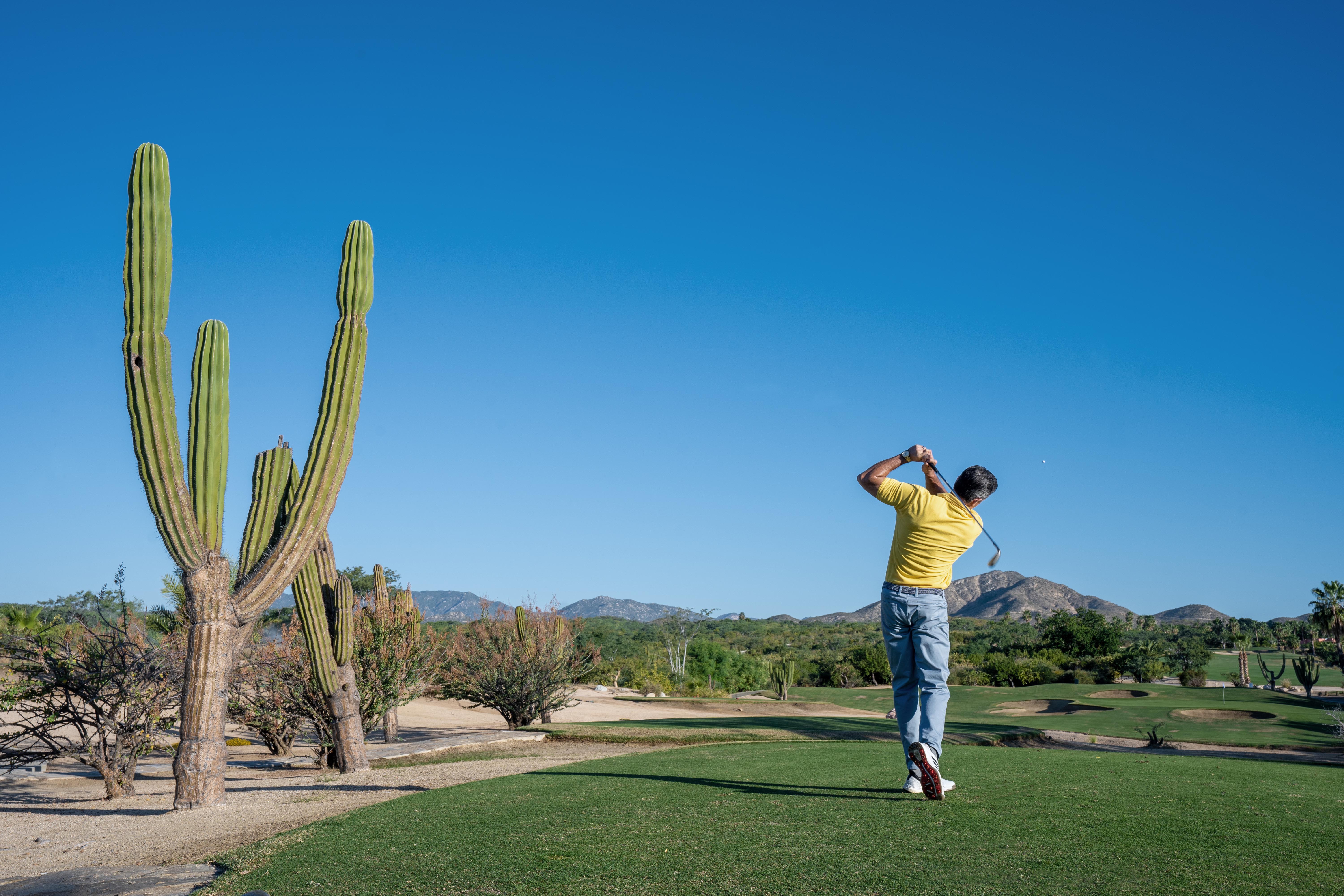 Playacar Palace — photo 7