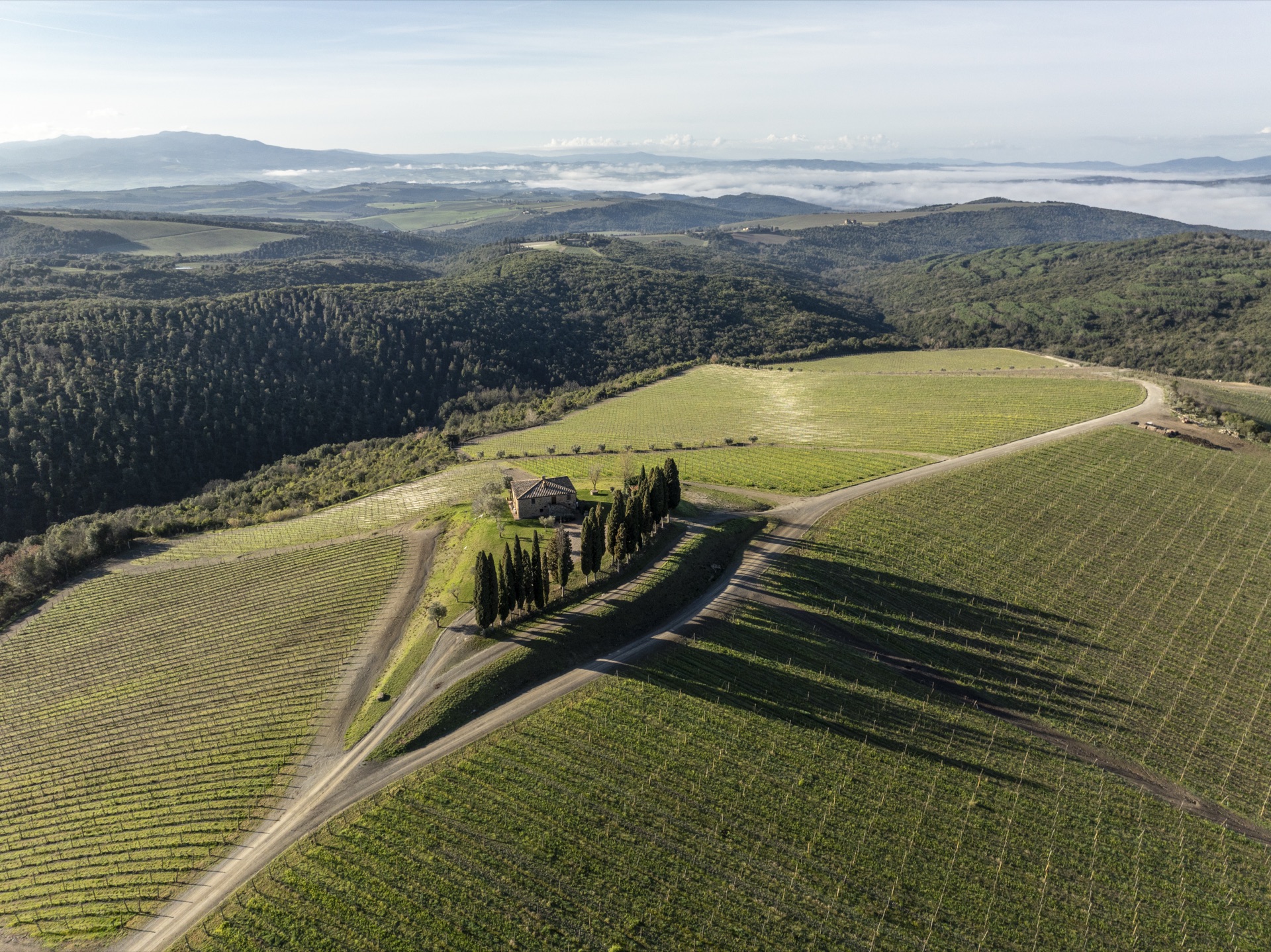 Castiglion del Bosco — photo 23