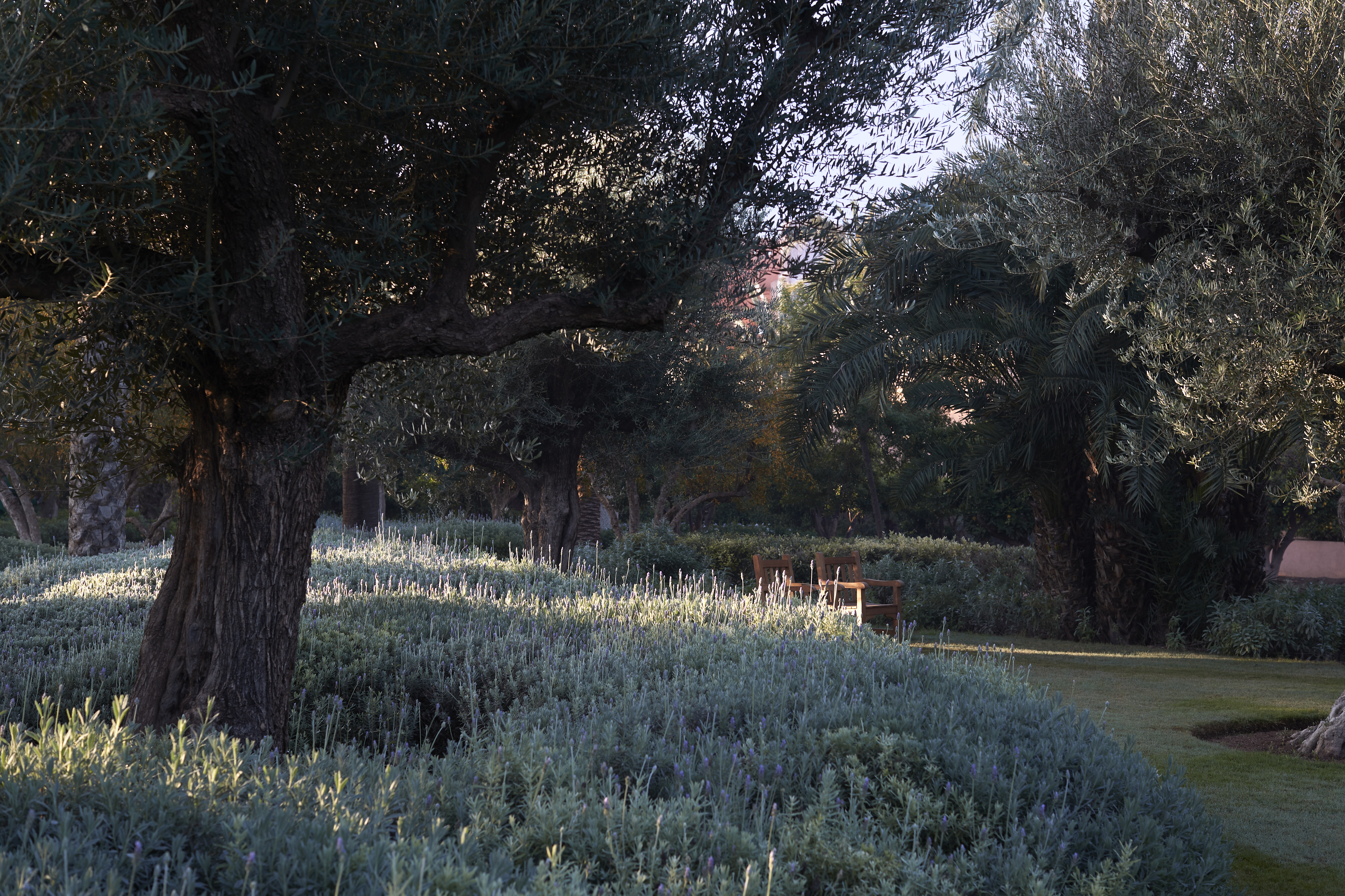 Royal Mansour Marrakech — photo 10