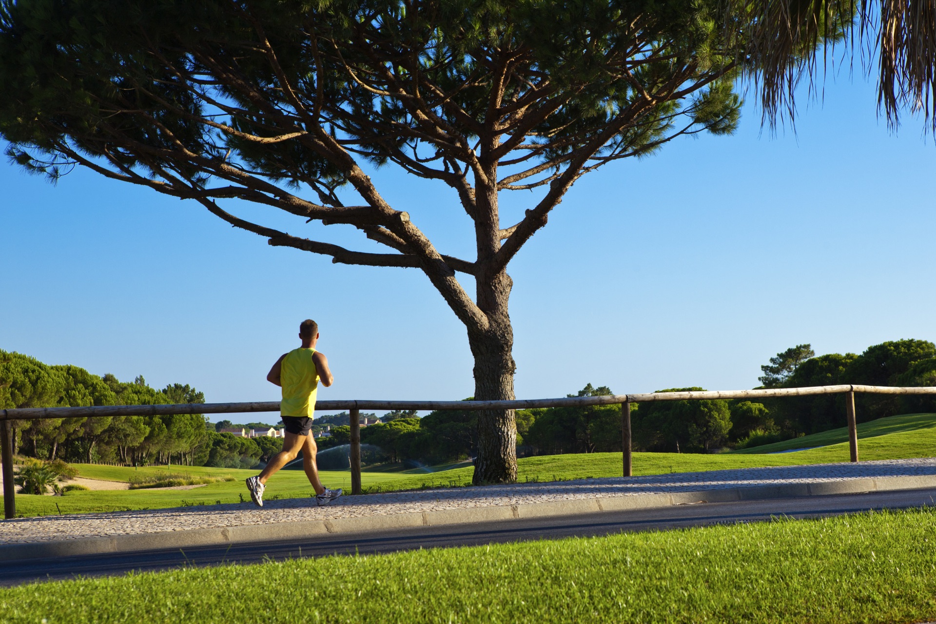 Vale do Lobo Resort — photo 2