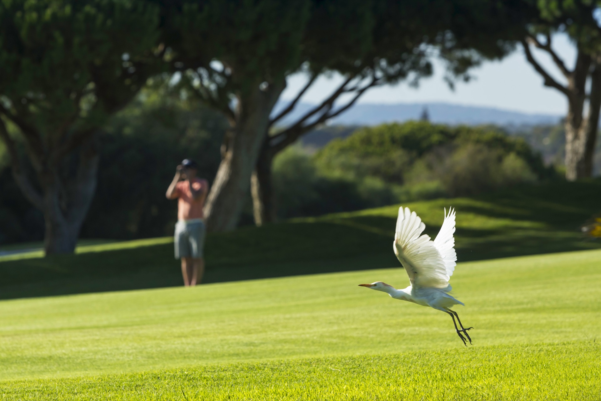 Vale do Lobo Resort — photo 3