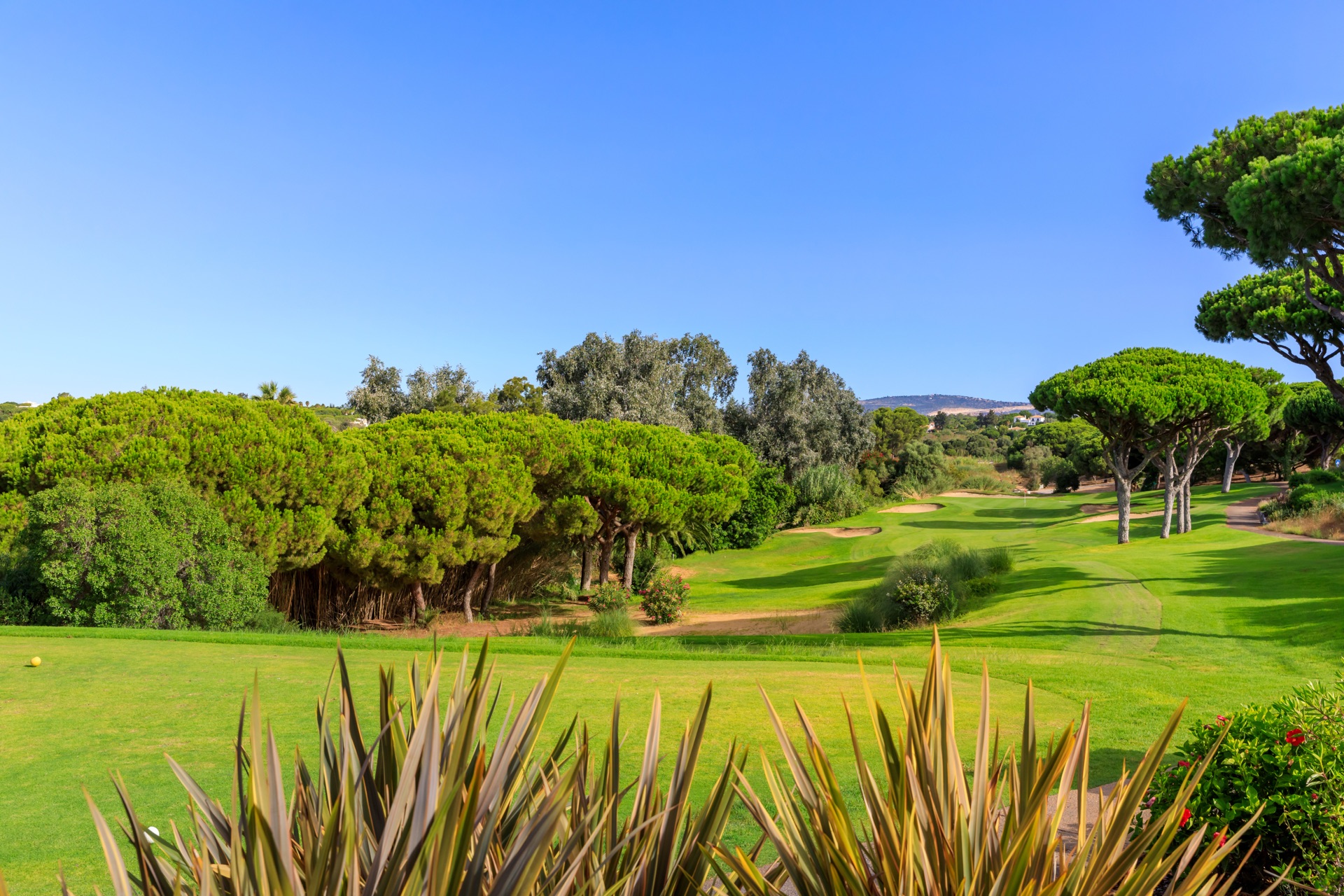 Vale do Lobo Resort — photo 22
