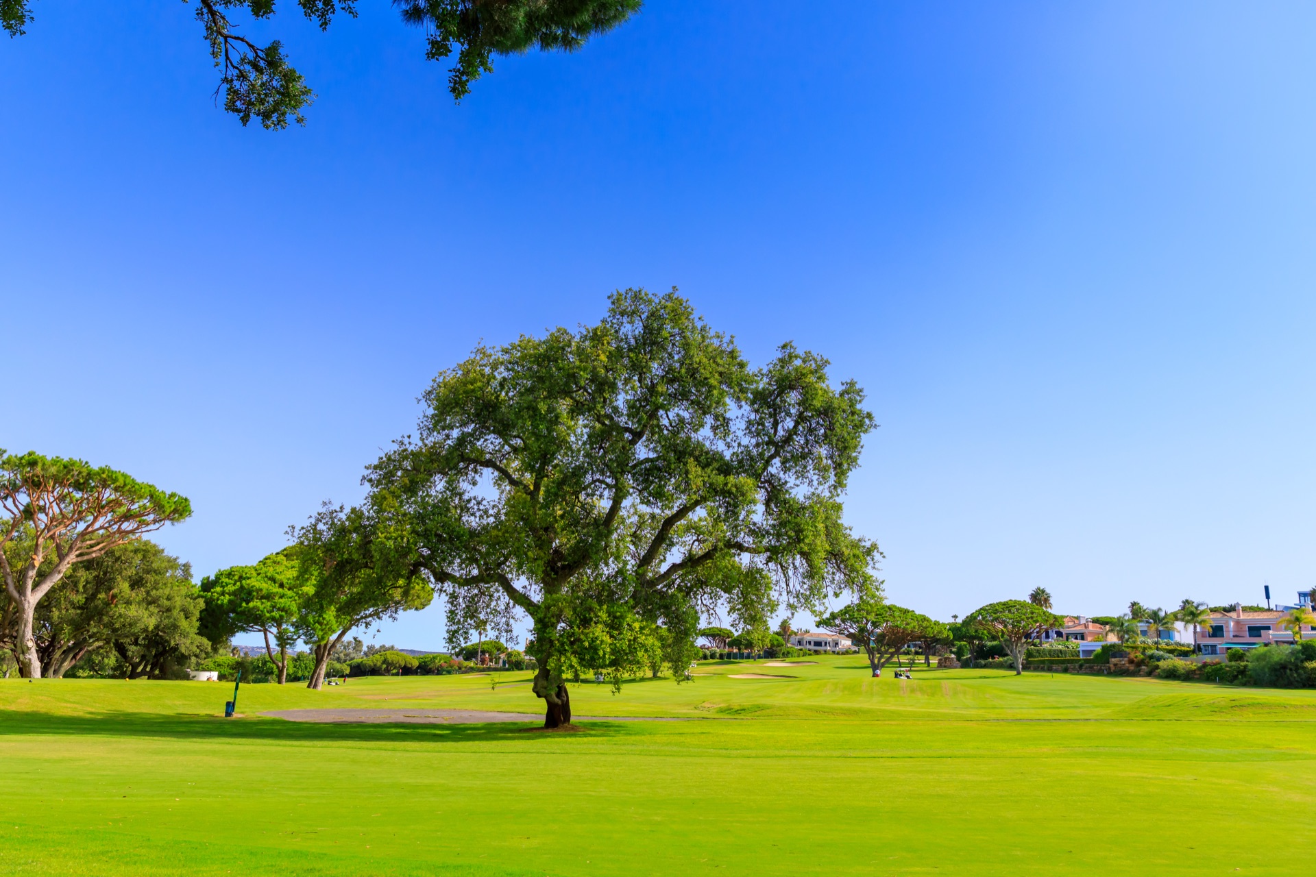 Vale do Lobo Resort — photo 23
